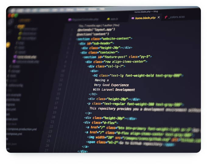 Développeur code